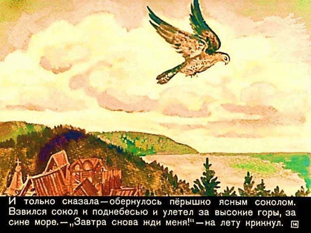 Финист сокол ясный кратко чему учит. перышко финиста ясна сокола — символизм и анализ