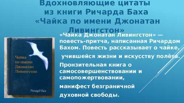 Анализ произведения чайка по имени джонатан ливингстон. «чайка по имени джонатан ливингстон», художественный анализ повести ричарда баха