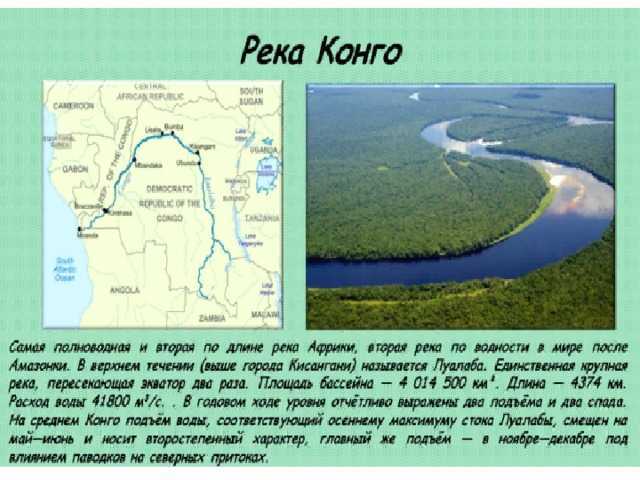 Бассейн реки конго. Река Конго глубина. Площадь бассейна реки Конго. Информация на тему река Конго. Сообщение о реке Конго.