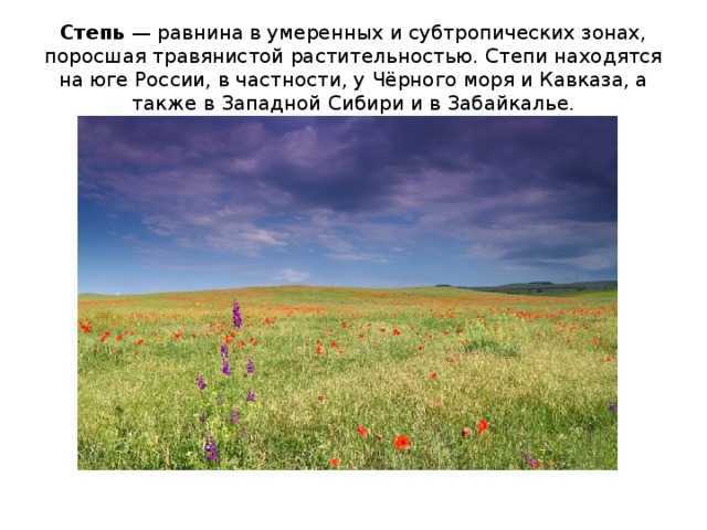 Степная зона рф. Зона степей зона степей. Природные зоны России степь. Расположение зоны степей. Степь расположена в умеренном.