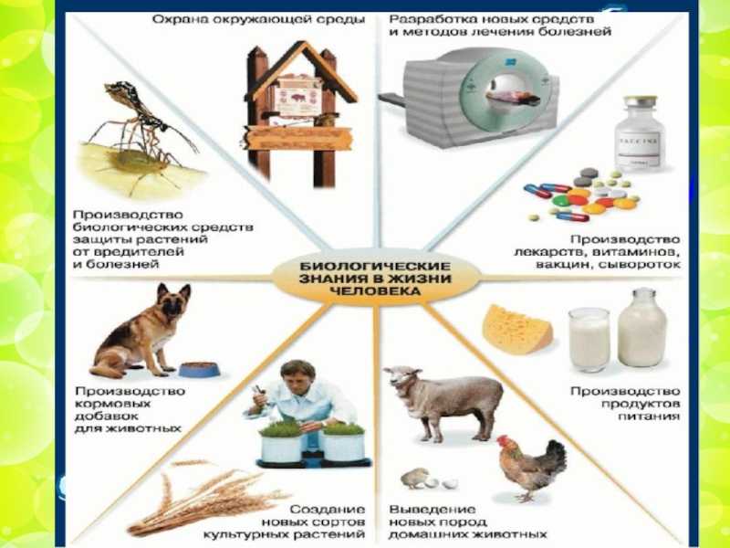 Роль биологических исследований в современной медицине проект по биологии