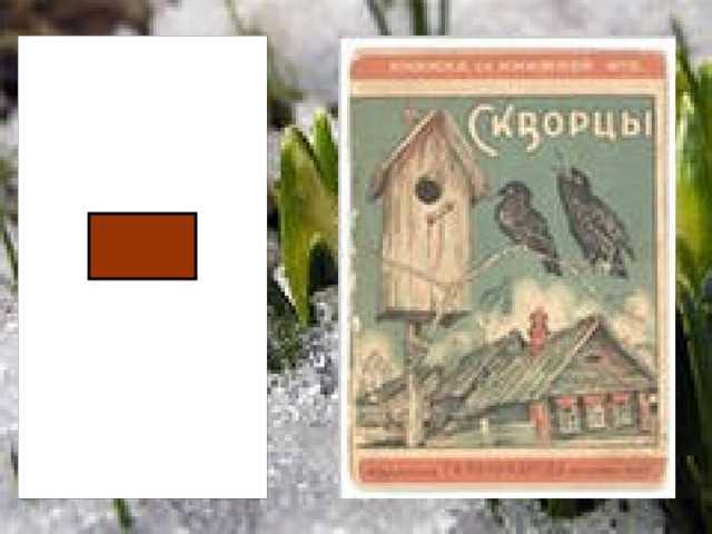 Рассказ «слон» а. и. куприн стр. 40 — 41
