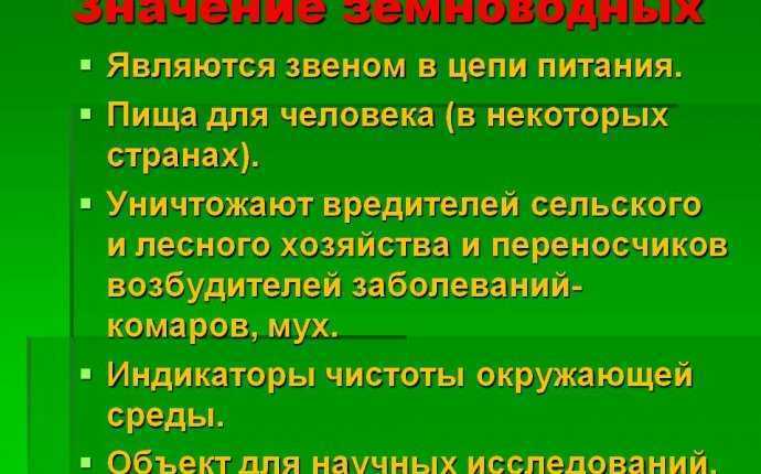 Опишите значение амфибий в природе для человека. Значение земноводных в природе. Земноводные в природе и жизни человека. Роль земноводных в природе. Значение земноводных в природе и жизни человека.