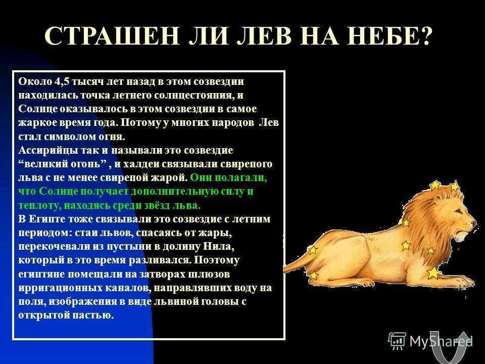 Лев презентация