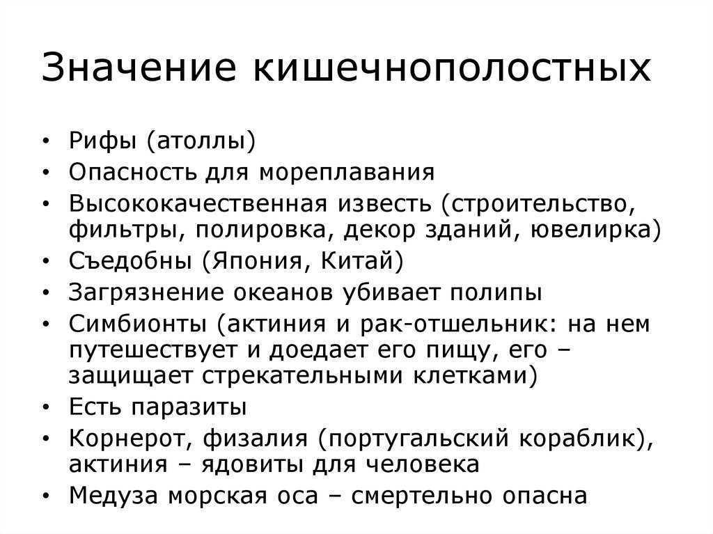 Значение кишечнополостных в природе и в жизни человека схема