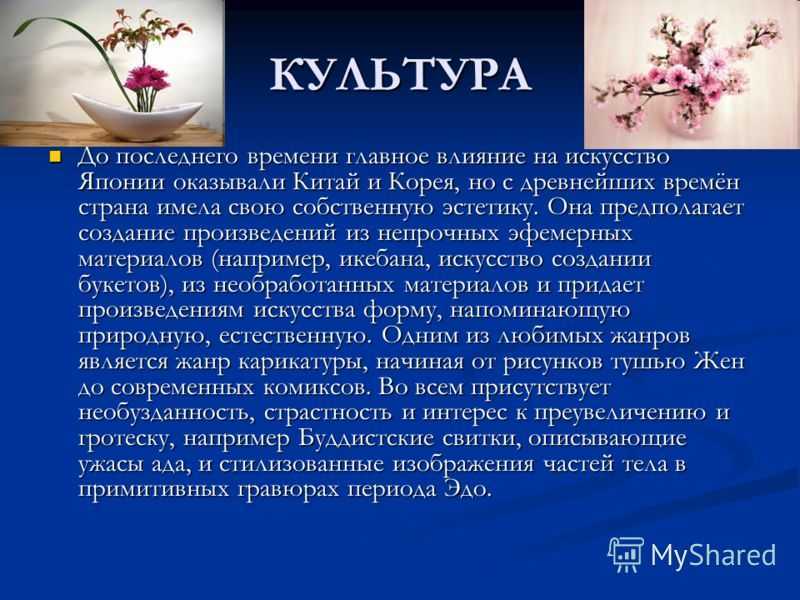 Индивидуальный проект культура японии