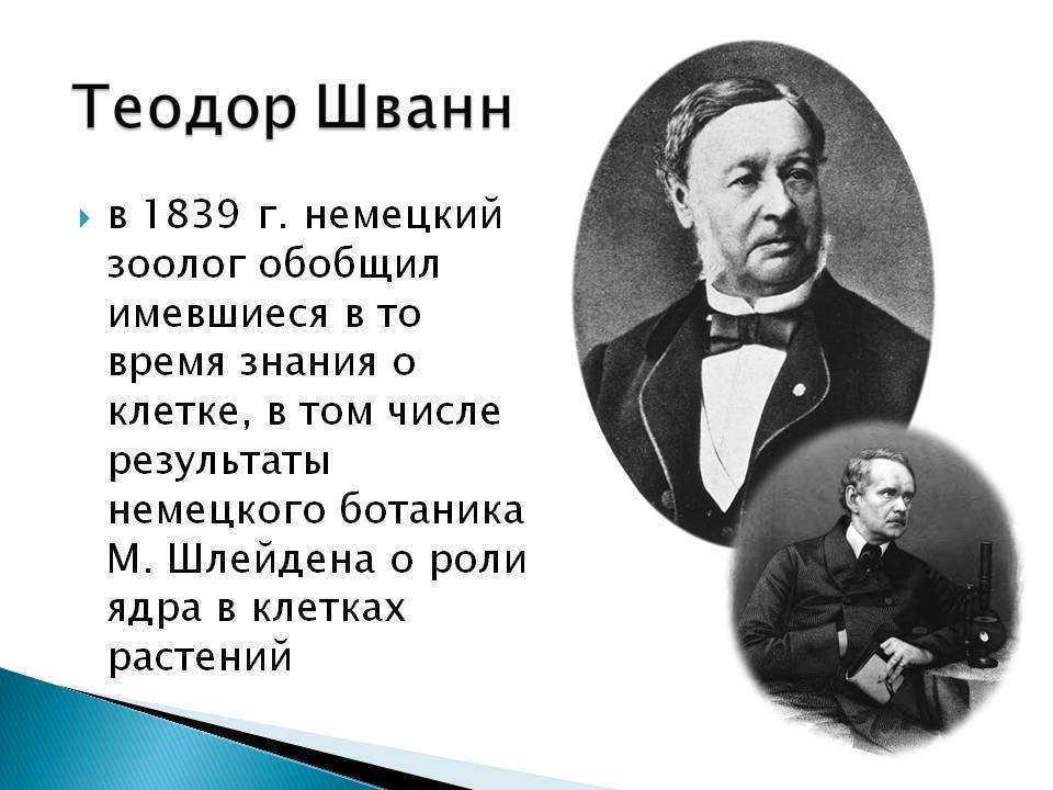Теодор шванн