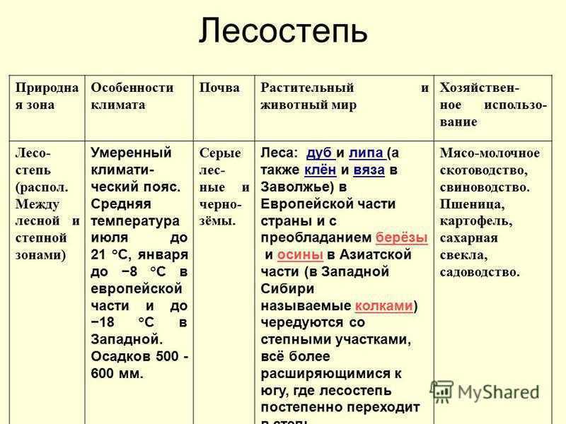 Характеристика степи по плану 7 класс