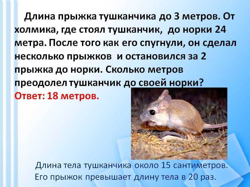 Сообщение про тушканчика по окружающему миру, 4 класс