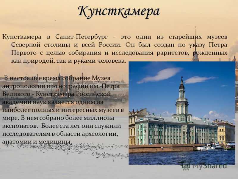 Кунсткамера в санкт-петербурге - музей антропологии и этнографии